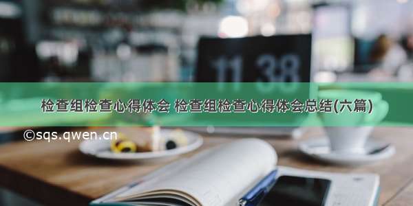 检查组检查心得体会 检查组检查心得体会总结(六篇)