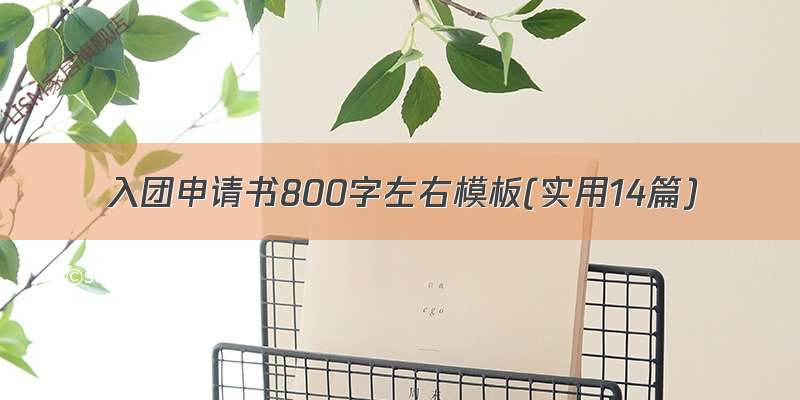 入团申请书800字左右模板(实用14篇)