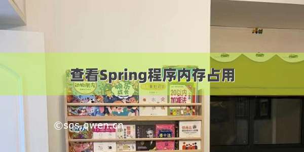 查看Spring程序内存占用