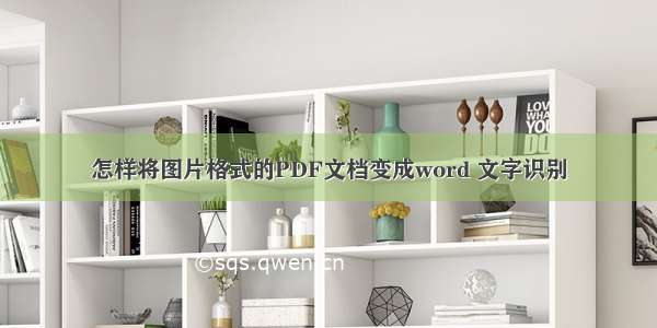 怎样将图片格式的PDF文档变成word 文字识别