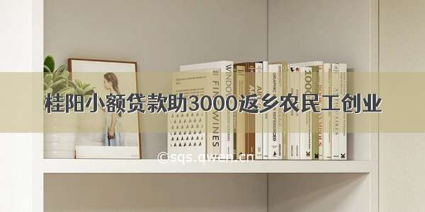 桂阳小额贷款助3000返乡农民工创业