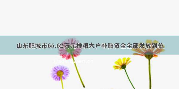 山东肥城市65.62万元种粮大户补贴资金全部发放到位