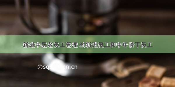 新进中层老员工管理 对新进员工和中年骨干员工