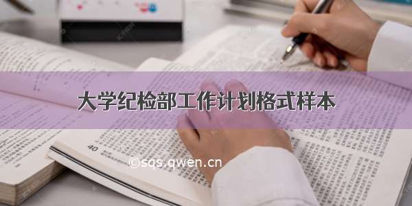 大学纪检部工作计划格式样本