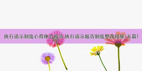 执行请示制度心得体会报告 执行请示报告制度整改措施(五篇)