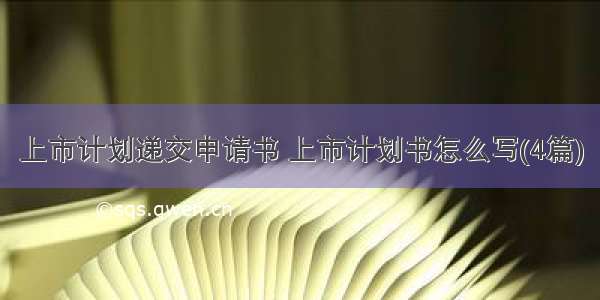 上市计划递交申请书 上市计划书怎么写(4篇)