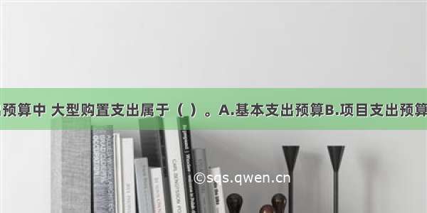 在部门支出预算中 大型购置支出属于（ ）。A.基本支出预算B.项目支出预算C.专项支出