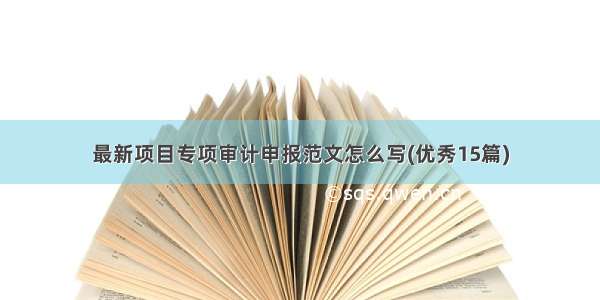 最新项目专项审计申报范文怎么写(优秀15篇)